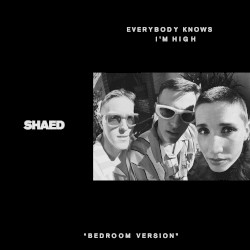 Everybody Knows I'm High (bedroom version)