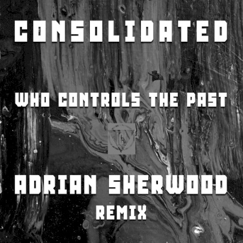 Who Controls The Past (Adrian Sherwood Remix)