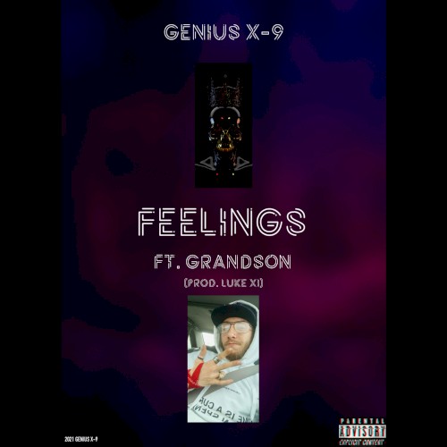 Feelings