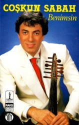 Benimsin
