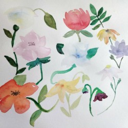 Blossom