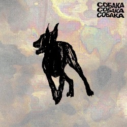 СОБАКА