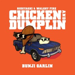 Chicken and Dumplin
