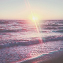 seashells over my ears