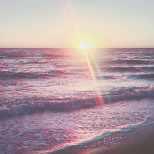 seashells over my ears