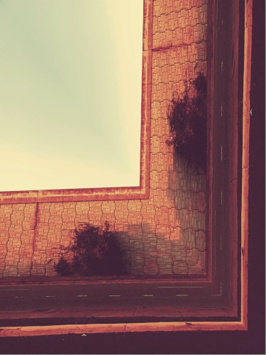 January the Twentieth