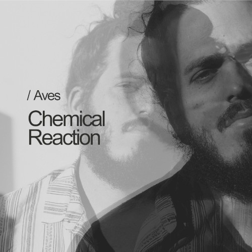 Chemical Reaction