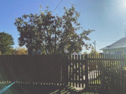 wooden swings