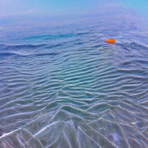no plastic sea
