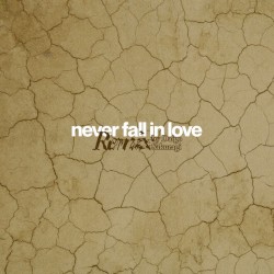 never fall in love (Daigo Sakuragi remix)