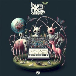 Burn In Noise & Amigos