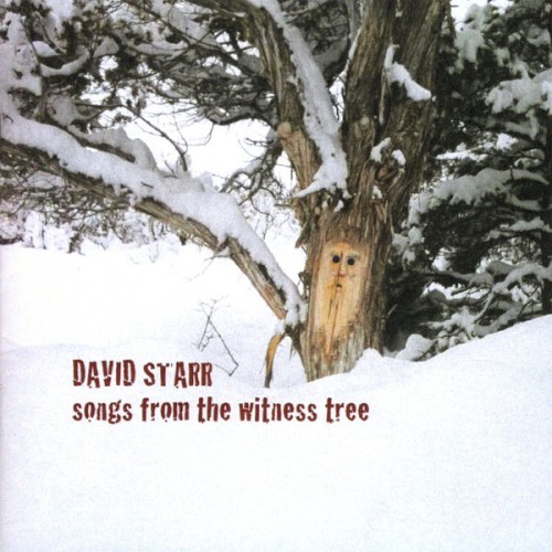songs from the witness tree