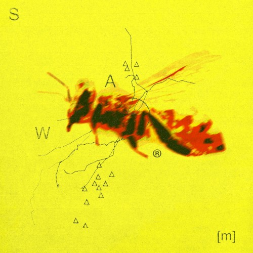Swarm
