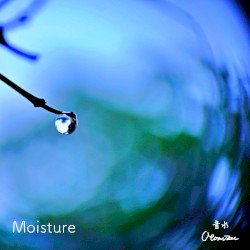 Moisture