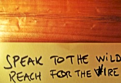 Speak to the Wild