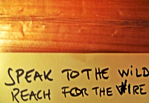 Speak to the Wild