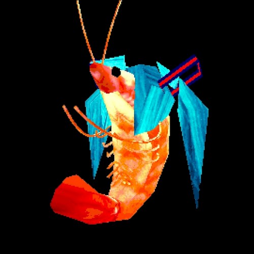 shrimp miku