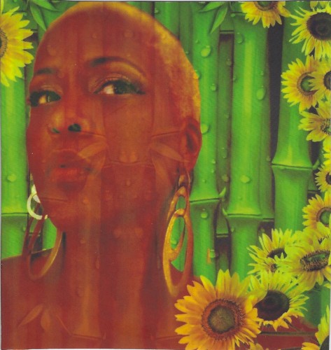 Sunshine Everyday - The E.P.
