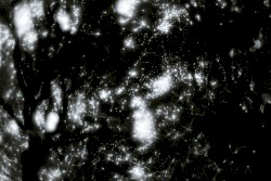 The Origin of Negation