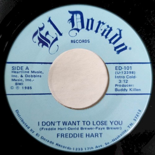 I Don’t Want to Lose You