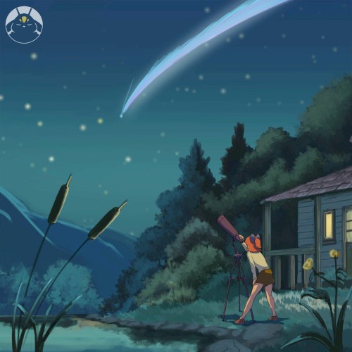 Follow your star