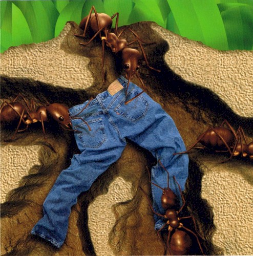 Sonic Rivet Collection 2