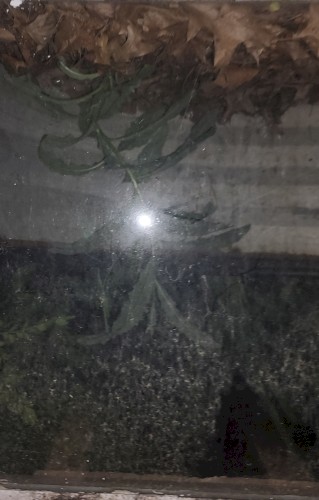 6/24/22 1:29AM
