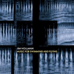 Music for Swimming and Flying