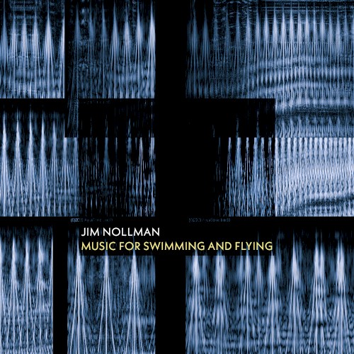 Music for Swimming and Flying