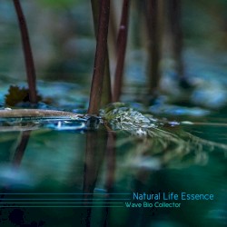 Wave Bio Collector