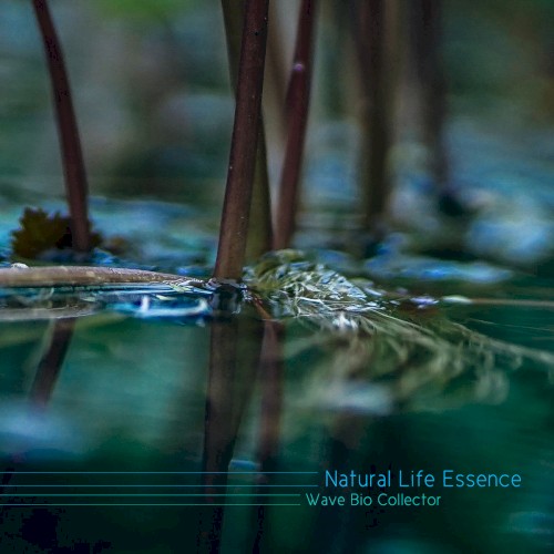 Wave Bio Collector