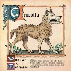 crocotta