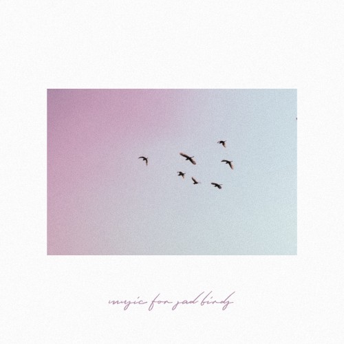 Music for Sad Birds