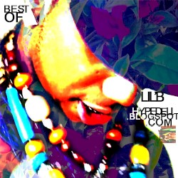Best of Lil B