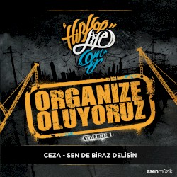 Sen de Biraz Delisin (Organize Oluyoruz Vol. 1)
