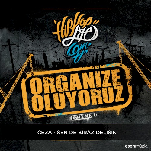 Sen de Biraz Delisin (Organize Oluyoruz Vol. 1)