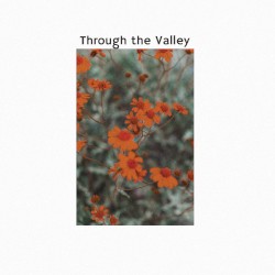 Through the Valley