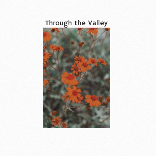 Through the Valley