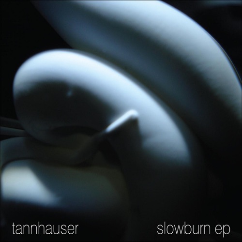 Slowburn