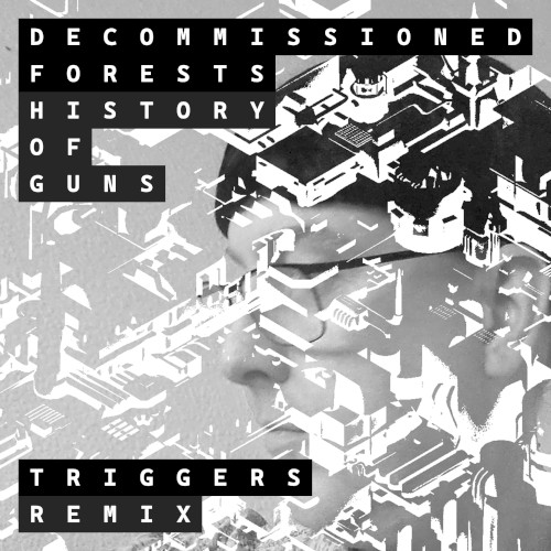 Triggers (History of Guns remix)
