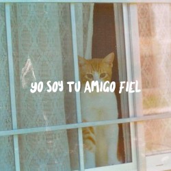 Yo Soy Tu Amigo Fiel
