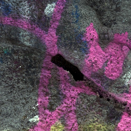 IGR J17091-3624