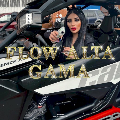 Flow alta gama