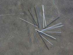 Kantarell