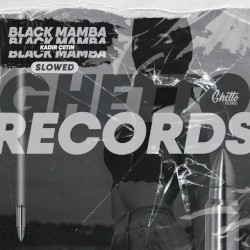 Black Mamba (Slowed)