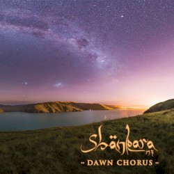 Dawn Chorus