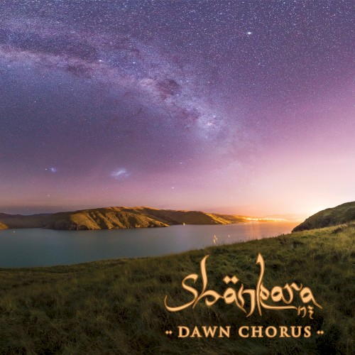 Dawn Chorus