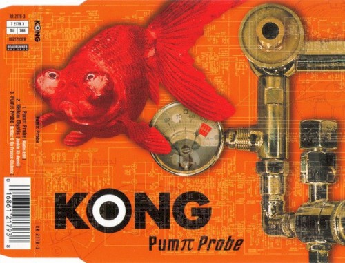 Pumπ Probe