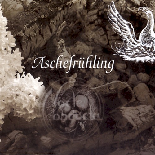 Aschefrühling