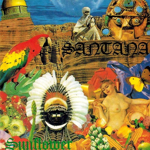 Sunflower (20th Anniversary Reunion Concert)